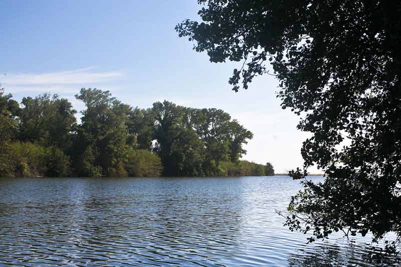 Vue sur le Tech, fleuve côtier du Roussillon, avec des arbres qui le bordent