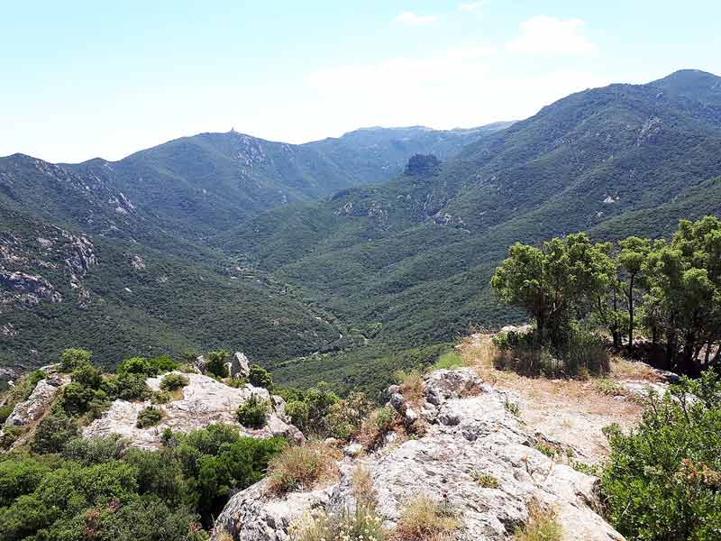 Photo prise depuis le château d'Ultrera avec vue sur la vallée de la Massane et sur la tour de la Massane