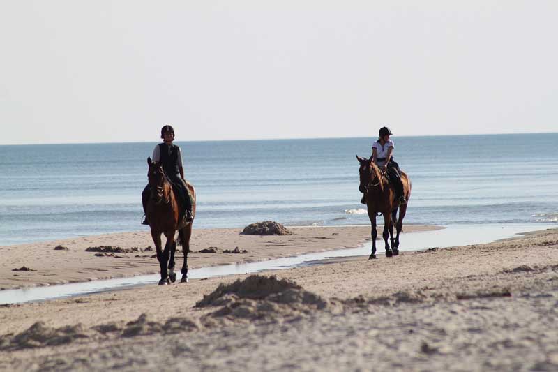 Randonnée à cheval sur une plage d'Argelès-sur-Mer (France)