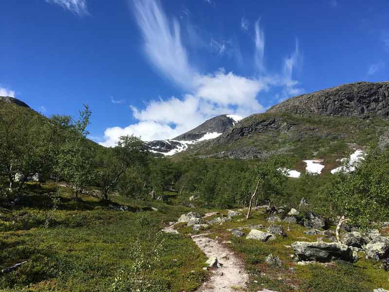 paysage arctique de Laponie en Suède