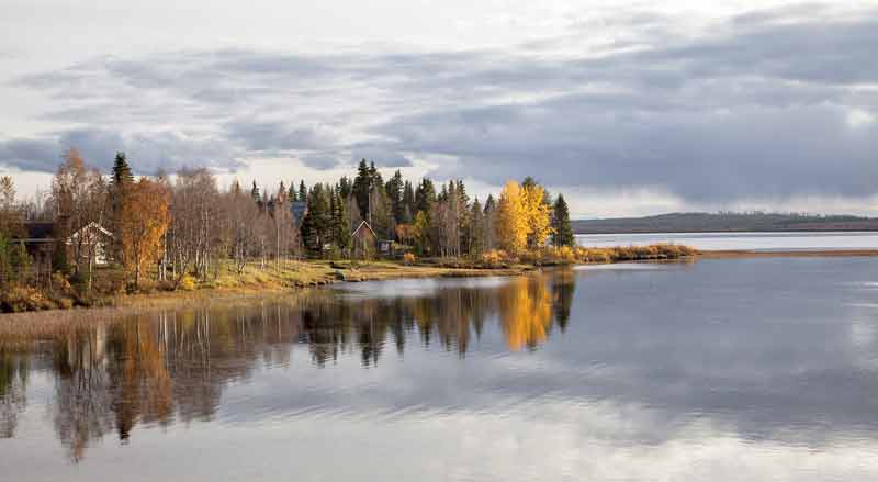 paysage automnal paisible en Laponie, avec un lac reflétant les arbres colorés en jaune et orange sur ses rives