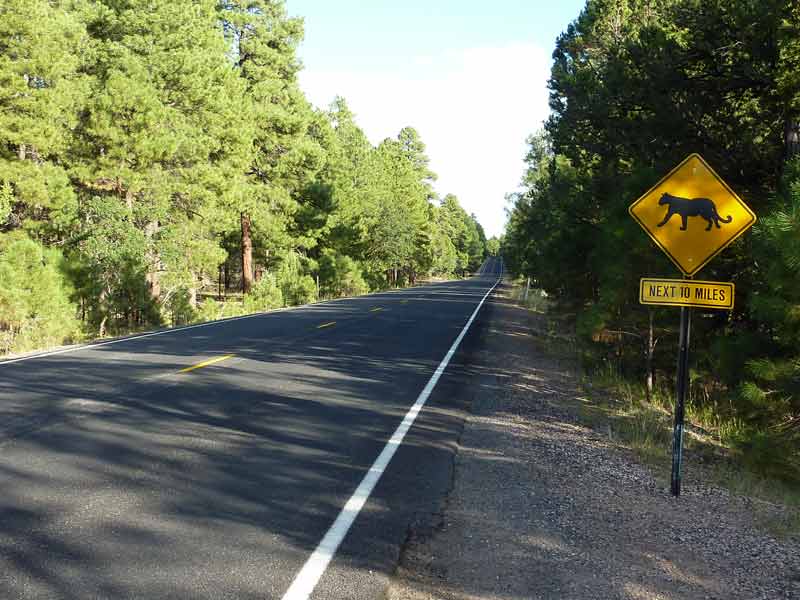 Photo de la route 64 (USA)