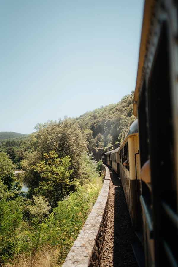 Train à vapeur des Cévennes longeant la vallée à Saint-Jean-du-Gard, paysages verdoyants et rivière en contrebas