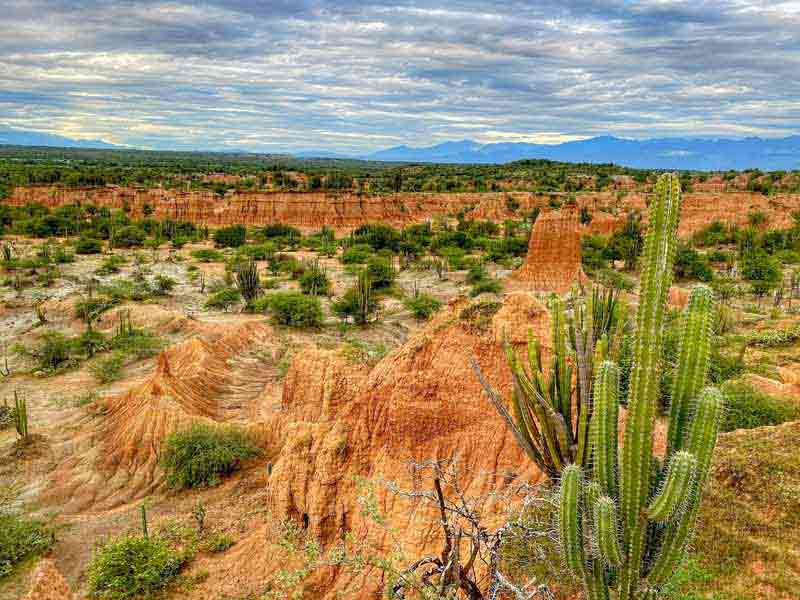 Paysage aride du désert de la Tatacoa en Colombie, avec cactus, formations rocheuses ocres et végétation clairsemée (paysages Colombie)