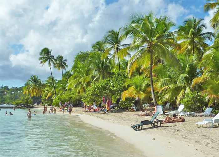 Plage de la Caravelle en Guadeloupe borde de palmiers avec des chaises longues, des vacanciers et une mer calme sous un ciel partiellement nuageux