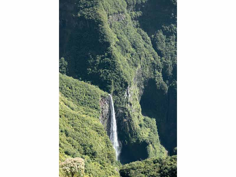 Cascade du Trou de Fer dans le cirque de Salazie à La Réunion, vue depuis le belvédère de Bélouve