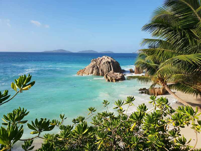 Plage des Seychelles aux eaux turquoise bordée de palmiers et de rochers granitiques