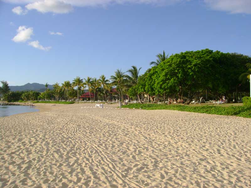 Plage de sable fin bordée de palmiers sous ciel bleu, destination tropicale idéale pour vacances au soleil