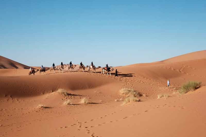 chameaux transportant des voyageurs à travers les dunes dorées du désert de Dubaï, sous un ciel bleu