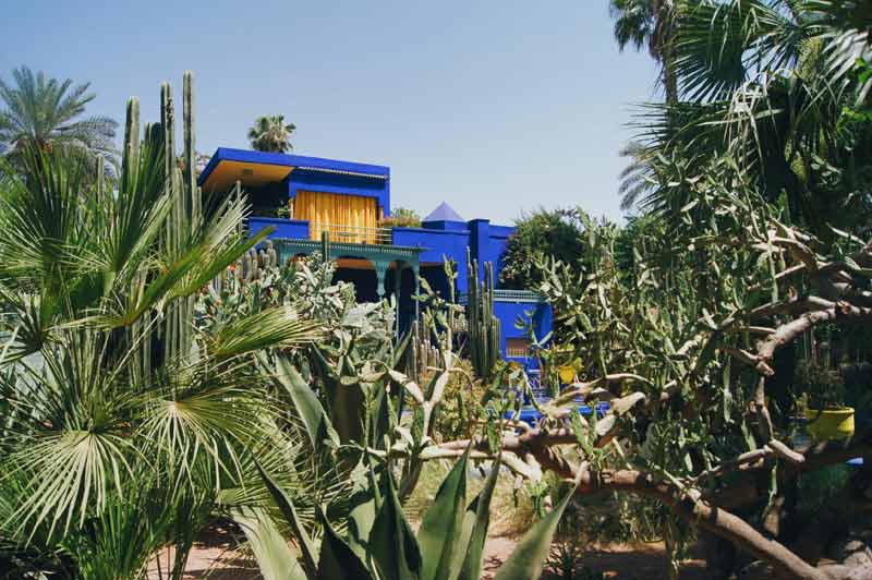 Villa Majorelle entourée de palmiers, cactus et plantes exotiques dans le Jardin Majorelle à Marrakech, avec ses façades bleues et jaunes éclatantes sous un ciel ensoleillé