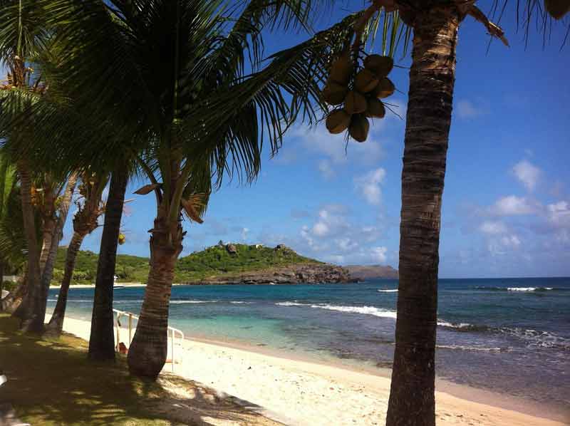 Plage de sable fin à Saint-Barthélemy bordée de palmiers, avec vue sur la mer turquoise et une colline verdoyante à l’horizon