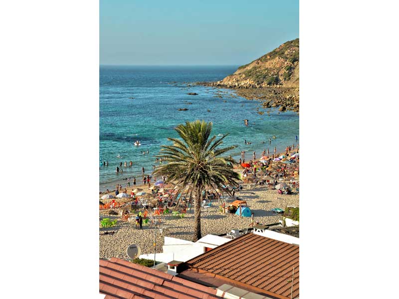 Plage animée d'Achakkar (Tanger) bordée par une mer turquoise, avec un palmier au premier plan, des vacanciers profitant 
							du soleil et une colline rocheuse en arrière-plan.