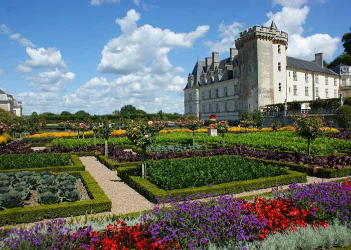 Rosiers en fleurs et carr�s de potager face � la fa�ade du ch�teau de Villandry